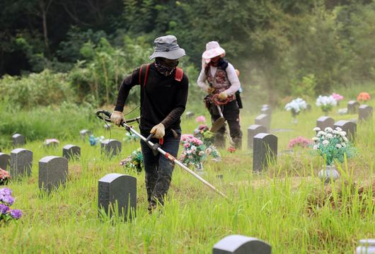 경향신문