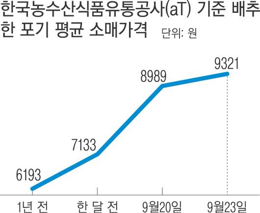 경향신문