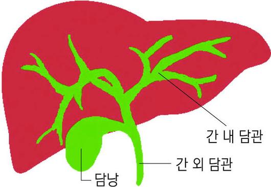 경향신문