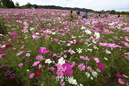 경향신문