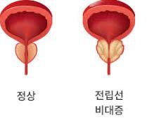 경향신문