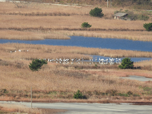 경향신문