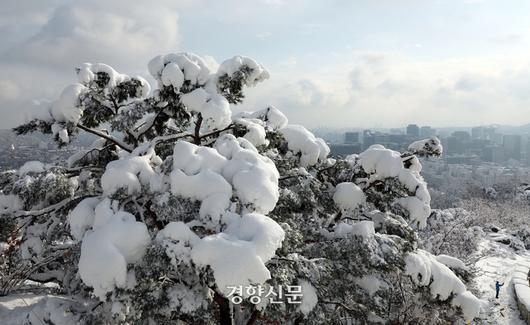 경향신문