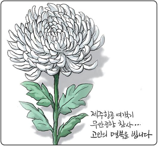 경향신문