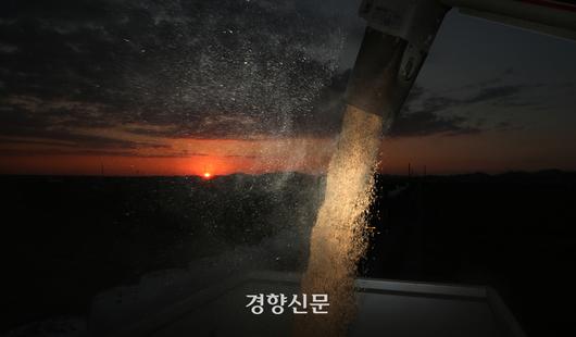 경향신문