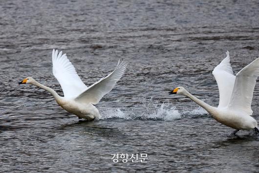 경향신문