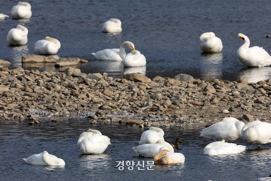 경향신문