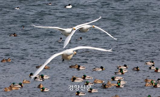 경향신문