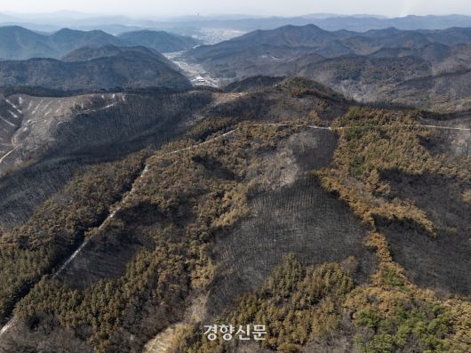 의성에서 발생한 대형산불이 닷새째 이어진 지난달 26일 의성 명고리 원당산과 대산지산 일대가 전날 번진 산불에 검게 타 있다. 의성 | 성동훈 기자