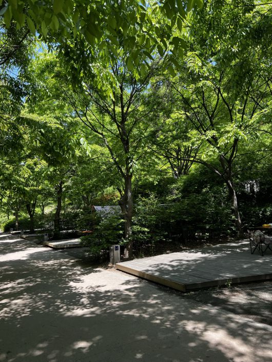 도심 속 캠핑장, 중랑캠핑숲.