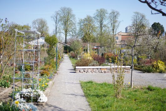 독일 카를스루에의 클라인가르텐 ‘라인슈트란트지들룽’ 단지는 텃밭 구획 간 울타리를 없애고 길에는 화단 등을 조성해 공원처럼 만들었다. 진정은씨 제공