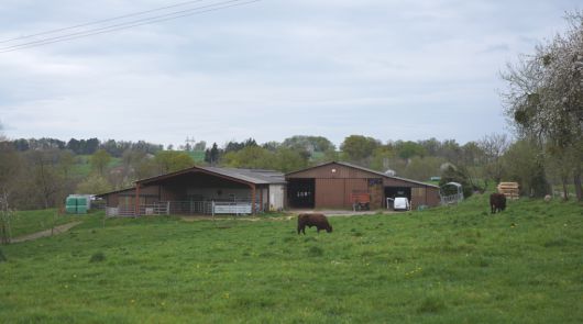 프랑스 캉탈 지역의 무르 마을에 있는 ‘가엑 데 프레리’ 농장 모습. 진정은씨 제공.