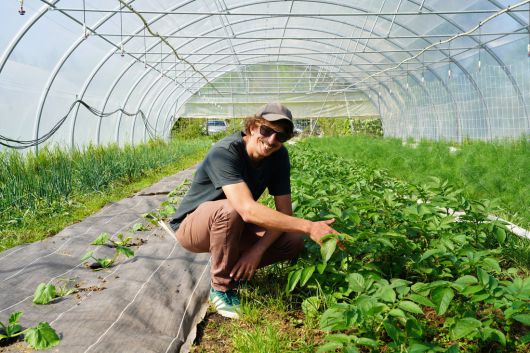 바티스트 튀를레가 지난 4월 10일(현지시간) ‘레소르 마레셰’에 있는 자신의 비닐하우스에서 감자를 살피고 있다. 대산농촌재단 제공