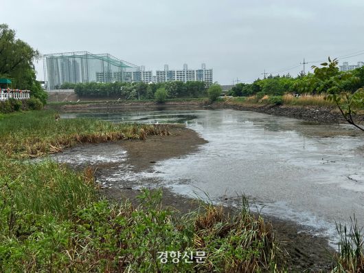 2022년 4월26일 대구 수성구 망월지의 물이 말라 곳곳이 바닥을 보이고 있다. 백경열 기자