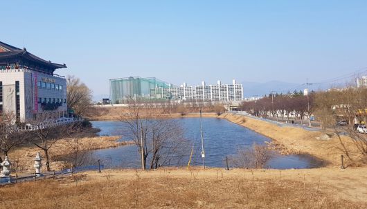 전국 최대의 두꺼비 산란지인 대구 수성구 욱수동 망월지의 모습. 수성구 제공