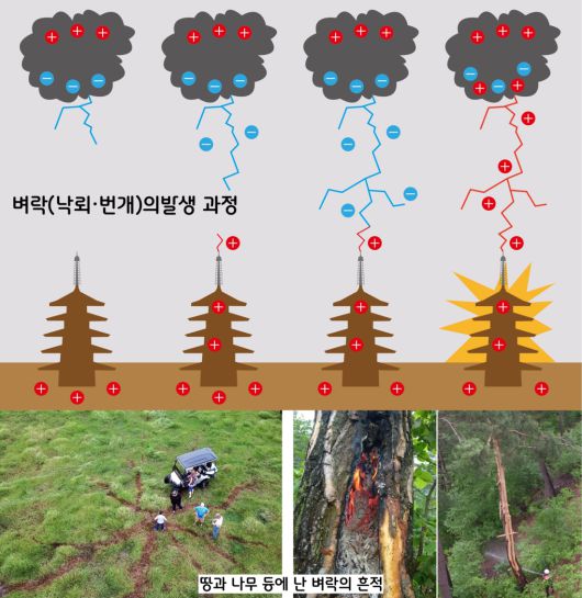 번개는 대기를 지나면서 질소와 산소 원자를 흥분시켜 강한 열과 빛을 발생시킨다. 벼락이 떨어지면 나무의 저항적 발열 때문에 불에 타고, 땅에 떨어지면 수미터에서 수십미터로 길게 뻗어간다.|오현덕 실장 제공