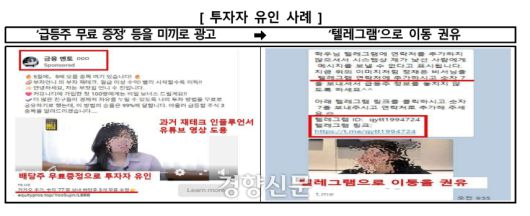 금융감독원 제공