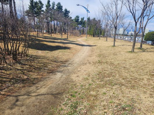 속초 청초호 유원지 ‘맨발 걷기 길’ 조성 부지 . 속초시  제공