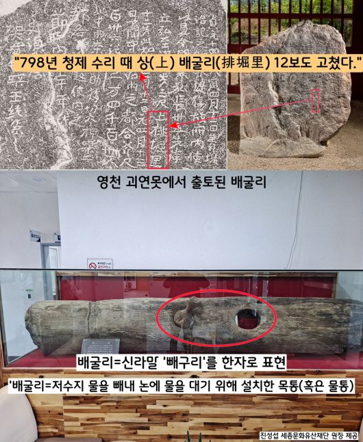 청제 ‘수리비(798)’에 등장하는 ‘상배굴리’라는 용어가 눈길을 끈다. ‘~상배굴리(上排堀里) 12보를 수리했다’는 내용이다. ‘배굴리’는 저수지 물을 빼내 논에 대기 위해 설치하는 목통(혹은 수통)이다. 지금도 영천 사람들은 ‘빼구리’라 한다. 신라인들은 한자 대신 ‘빼구리’라는 순 우리말을 한자 배굴리(排堀里)’로 표현한 것이다.|진성섭 세종문화유산재단 원장 제공