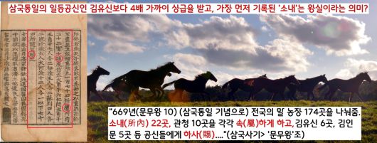 669년 문무왕은 삼국통일 기념으로 전국의 말목장 174곳을 나눠줬다. 그런데 ‘통일의 일등공신인 김유신(6곳)에[게는 ‘하사(賜)’라고 한 반면, 소내(所內·22곳)와 관청(10곳)에는 ‘소속시켰다(속·屬)’고 표현했다. 여기서 언급한 ‘소내’와 청제 수리비의  ‘소내’는 ‘왕실’을 가리킨다는 견해가 설득력있게 제기됐다.|하일식 교수 설명