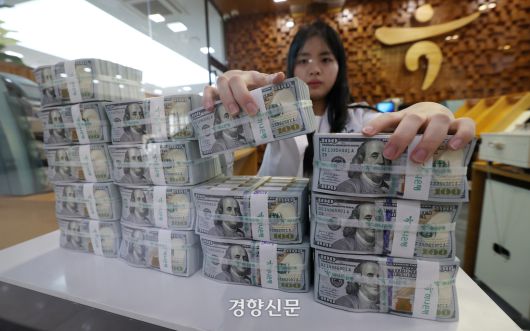 서울 중구 하나은행 위·변조 대응센터 직원이 지난 2월5일 달러를 정리하고 있다. 권도현 기자