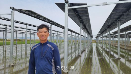 강종오 월평햇빛발전협동조합 이사장(66)이 지난 6월 10일 영농형 태양광이 설치된 논 앞에서 주간경향과 인터뷰를 하고 있다.  이재덕 기자