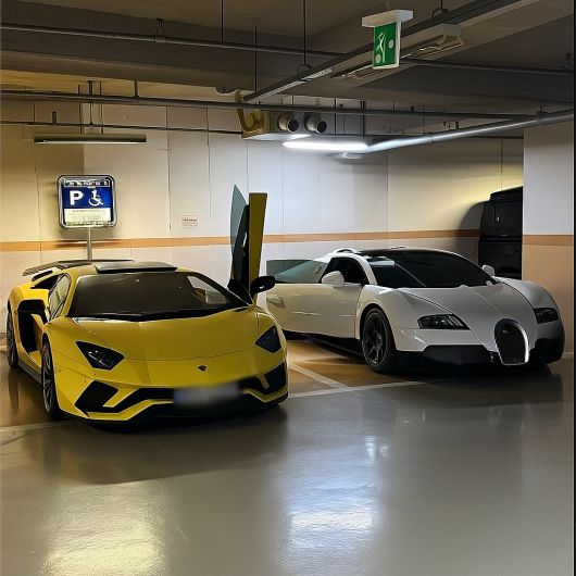 피고인들이 범죄수익금으로 구입한 스포츠카. 대구지검 제공