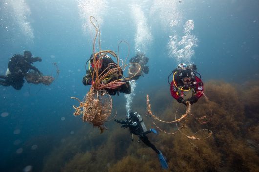 지난 14일 울릉도 삼막 인근 바다 입수한 대한잠수협회 회원들이 수심 20~25m에서 폐어구를 수거해 수면으로 올라오고 있다. 대한잠수협회 제공