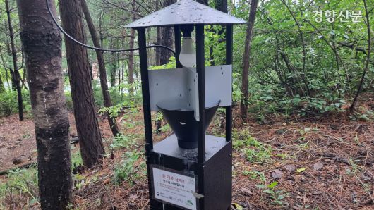 지난 25일 서울 은평구 주거지역과 인접한 산에 붉은등우단털파리(러브버그) 친환경 방제를 위한 광원 포집기가 설치돼 있다. 강한들 기자