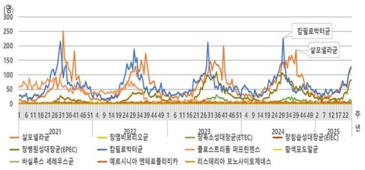 최근 5년간 표본감시 대상 세균성 장관감염증 발생 추이. 질병관리청