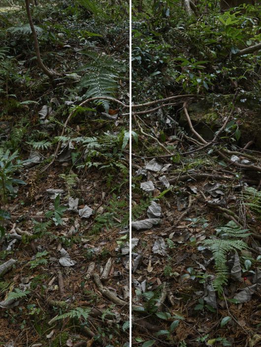 윌더 Wilder /  Untitled, 165x220cm (a set of 2 panels), Archival Pigment Print / ⓒ 정희승, 고은깁슨미술관 제공