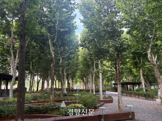오랜 플라타너스 길도 정원으로 탈바꿈했다.  이양희 오세훈 작가의 ‘제3의 플라타너스 숲(The Third Platanus Forest)’