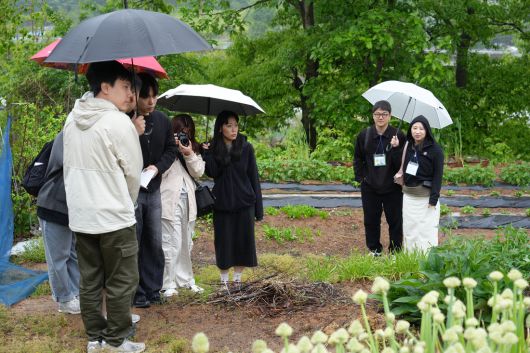 내일마을 협동조합 지역살이 프로그램에 참여한 청년 등이 산책을 하고 있다. 내일마을 협동조합 제공