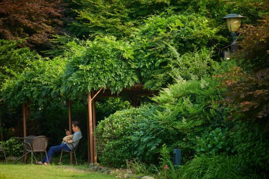 이재명 대통령은 14일 SNS를 통해 반려견 바비를 공개했다. 엑스 갈무리
