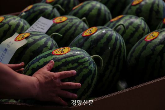 짧은 장마와 기록적인 폭염으로 여름 제철 과채류의 가격이 큰 폭으로 오르고 있다는 우려가 나오고 있는 11일 서울 강서 청과물 시장에 수박과 참외 복숭아 등 여름과일이 놓여있다. 이준헌 기자