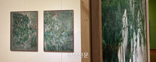 동강사진상 수상자 원성원 작가의 작품들. 김창길 기자