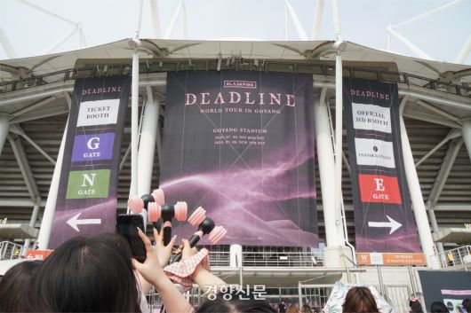 공연 2시간 전, 가장 들뜨는 시간. 응원봉을 모아 인증샷을 촬영하는 블랙핑크 팬들.