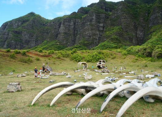 <콩: 스컬아일랜드>를 촬영한 너른 현장에서 관광객들이 공룡뼈(모형)를 배경으로 포토타임을 갖고 있다.