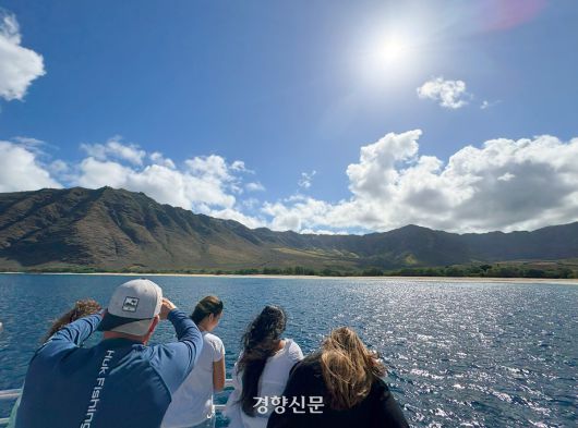 돌핀앤유의 크루즈에 올라 스피너 돌고래를 관찰하고 있는 관람객들.