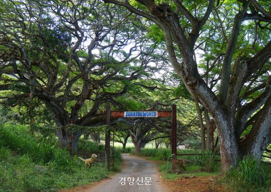 영화 <쥬라기공원>의 세트로 활용되었던 게이트를 넘나들 수 있다.