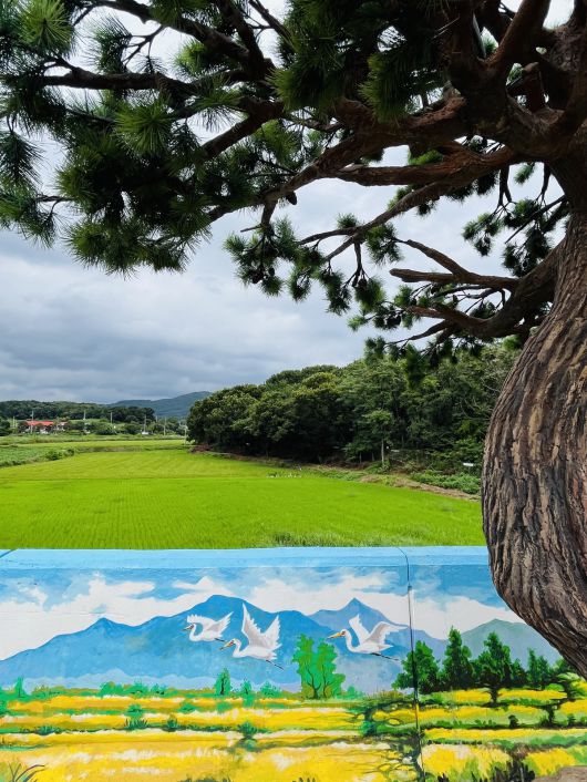 뚝방길을 조금 더 달리면 마치 흰 물감을 뿌려둔 듯한 거대한 나무숲이 눈앞에 펼쳐진다. 천연기념물 ‘여주 신접리 백로와 왜가리 번식지’다.
