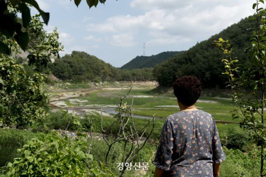 강릉시에 극심한 가뭄이 이어지고 있는 21일 강원 강릉 성산면 오봉저수지 인근에서 주민 진용희씨가 말라버린 도마천을 바라보고 있다. 도마천과 왕산천이 만나는 곳에 위치한 오봉저수지는 강릉 지역 주요 상수원이다. 문재원 기자