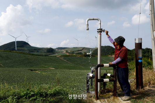 강원도 강릉시 일대에 극심한 가뭄이 이어지고 있는 지난 21일 강릉 왕산면 안반데기 배추밭에서 안반데기하늘농장 최인자 대표가 인근 농민들이 함께 쓰는 물탱크에 저장된 물을 틀고 있다. 말라버린 배추밭에 물을 대기에는 역부족이다. 문재원 기자