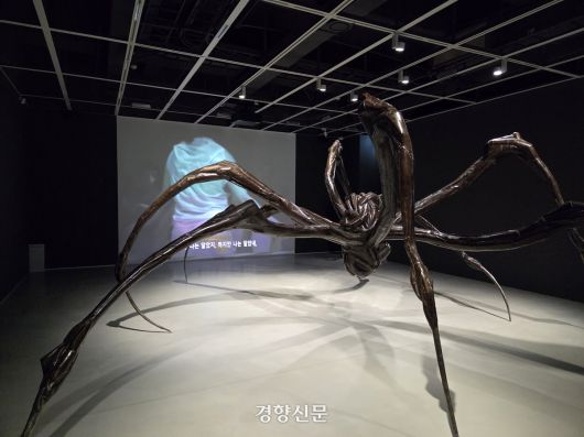 루이즈 부르주아의 ‘웅크린 거미’(2003). 배경으로 1978년 부르주아가 제작한 퍼포먼스 영상이 상영되고 있다. 용인 | 윤승민 기자