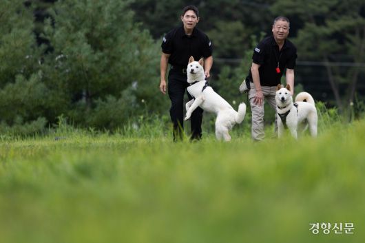 김태훈·신종필 양성교관이 두 진돗개를 훈련시키고 있다.