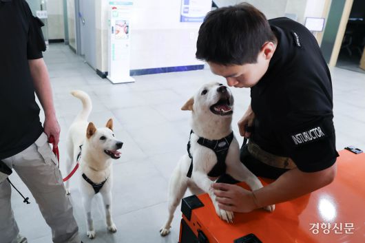 훈련 전 김태훈 양성교관이 상만·임회와 놀아주며 컨디션을 확인하고 있다.