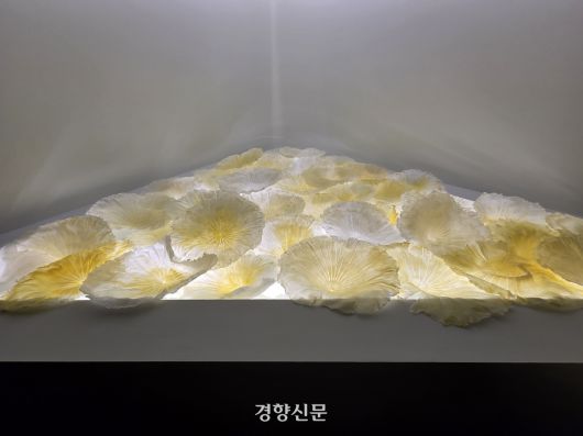 프랑스 작가인 모나 오렌의  ‘유키 Ⅲ-미스터 킴의 연꽃 농원’(2025년)