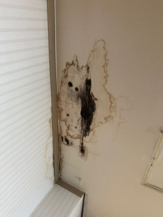 지난해 6월 ‘신체적 학대’ 피해가 접수된 경기 파주시 한 장애인 거주시설 천장에 곰팡이가 피어 있다. 경기북부장애인권익옹호기관 제공