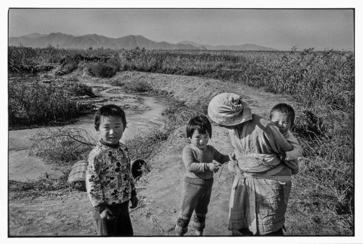 경상남도 김해군 사하 을숙도(부산시 사하구 하단동) 1976 (C)강운구