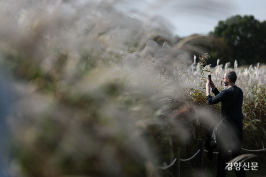 17일 서울 마포구 하늘공원에서 한 외국인 관광객이 억새밭 사이를 걸으며 가을 분위기를 만끽하고 있다.  2025.10.17 성동훈 기자
